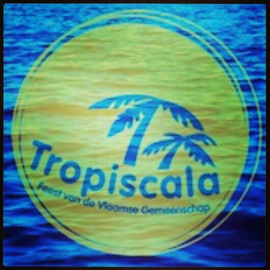 Tropiscala's profile picture. 