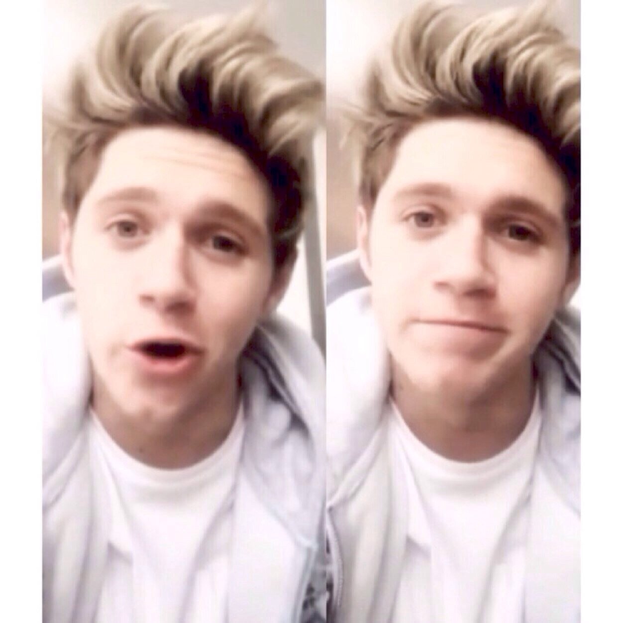 savedokk's profile picture. follow @niamperfectionx and ask for a follow back :)