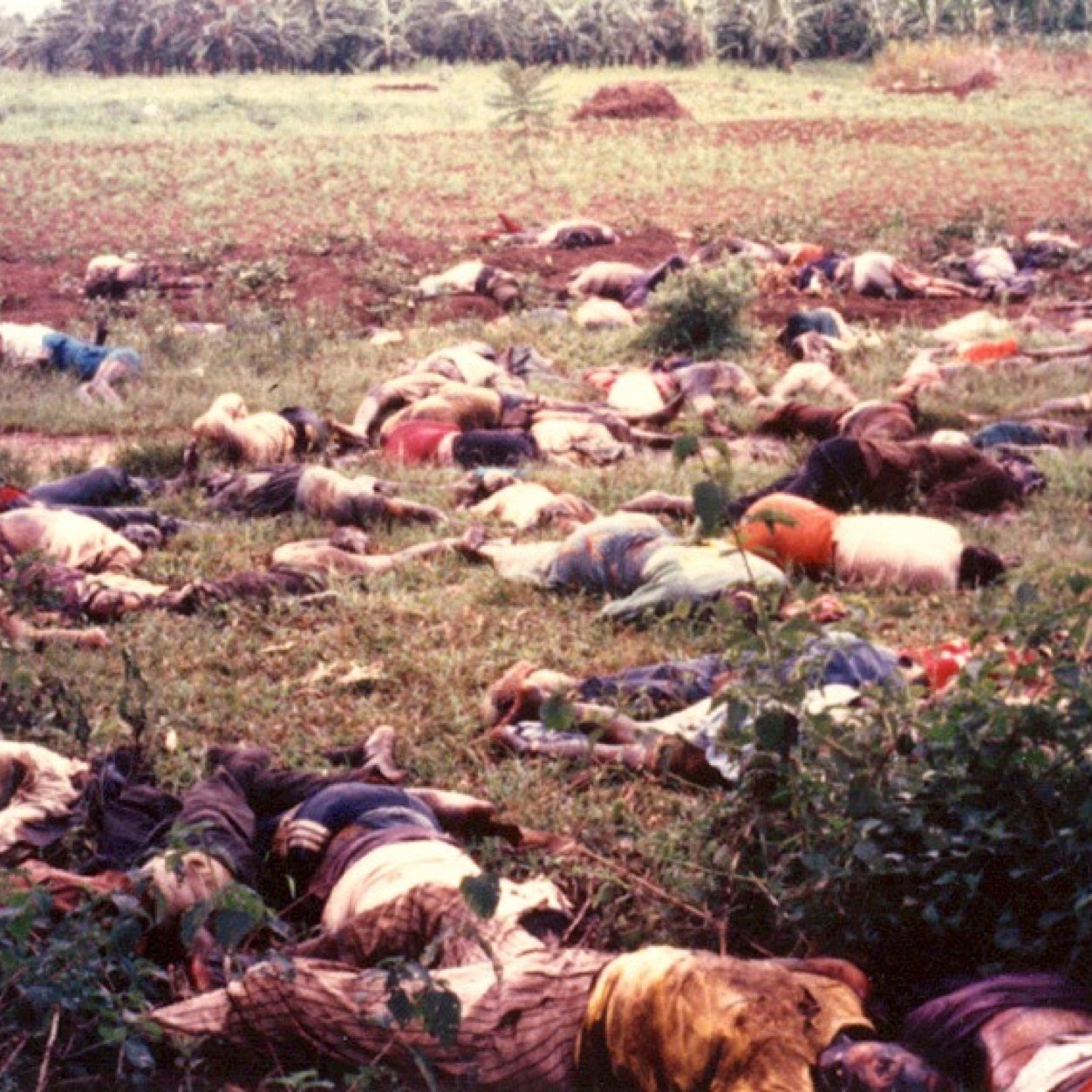 rwandagenocide_'s profile picture. Hi, I am a student researching the Rwandan genocide, looking for info about the causation, important events, and how its effected Rwanda today.