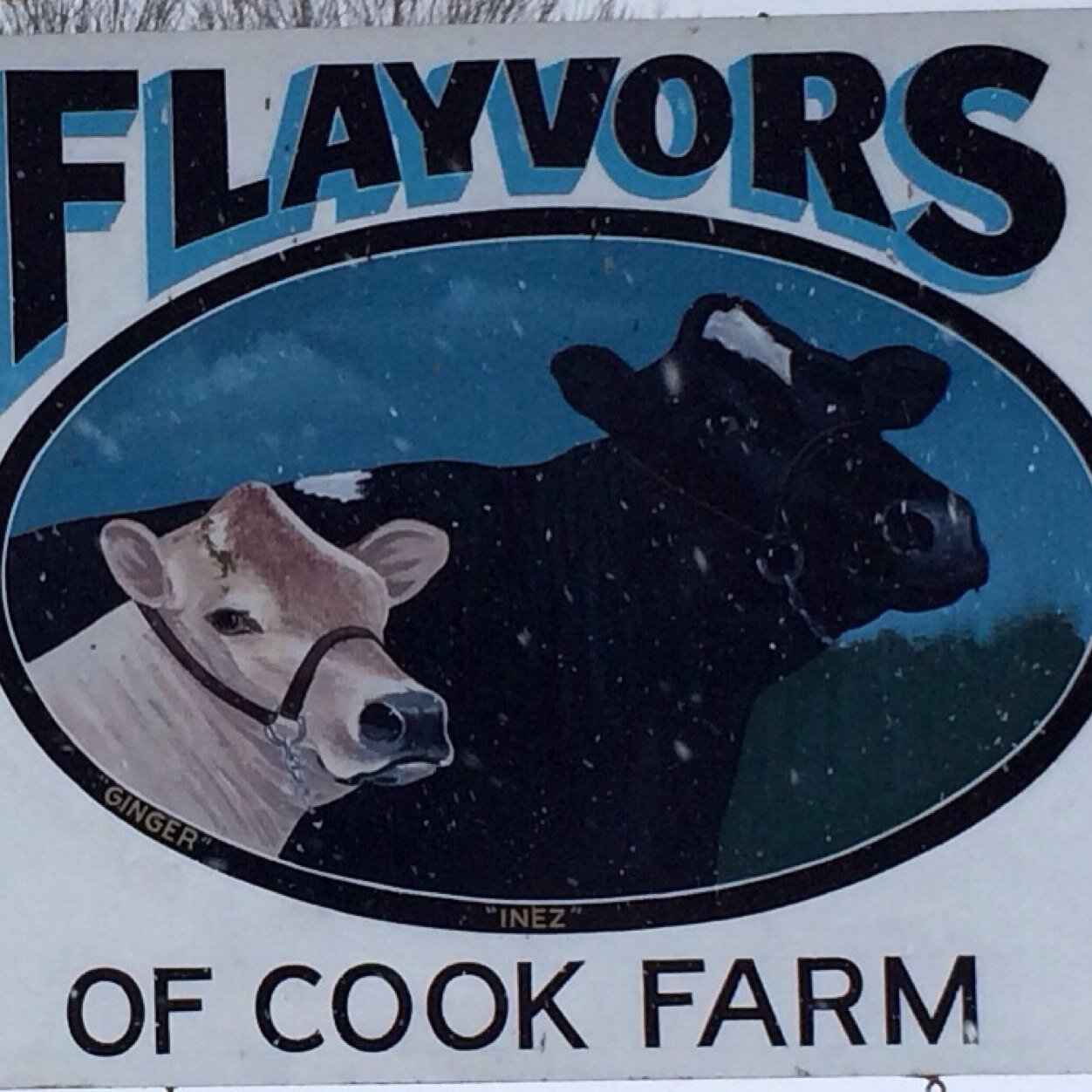 flayvorshadley's profile picture. We're a small dairy farming family business working hard to make the BEST ice cream in the Pioneer Valley!