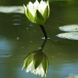 mamagigi17's profile picture. #wearethepeople