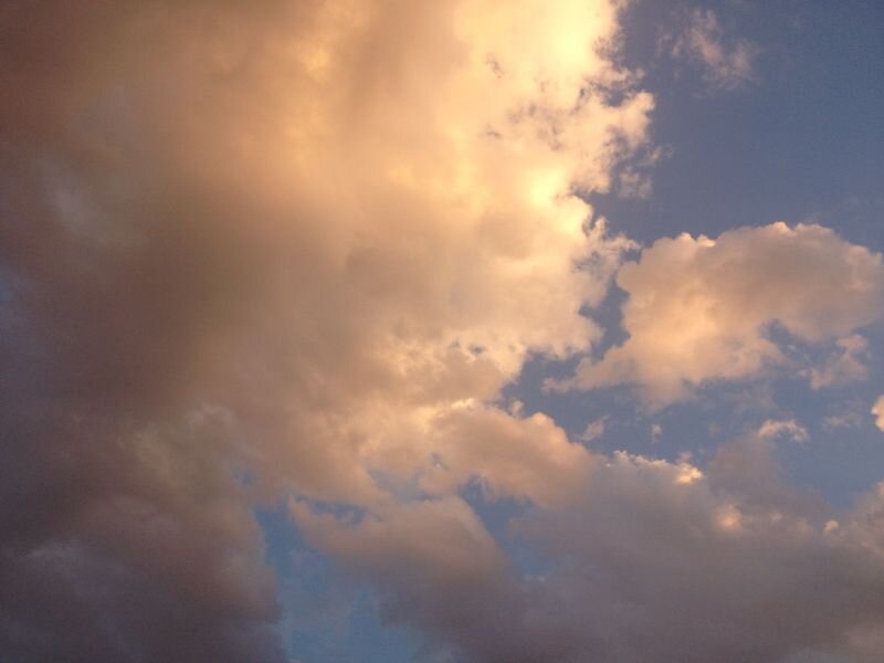 abo1822's profile picture. عزت النفس عنواني