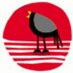 #avanzarsintransar? (@desierto2021) Twitter profile photo