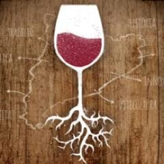 d_elvicatala's profile picture. Deconstruint el vi català, un documental sobre vi, territori i cultura.