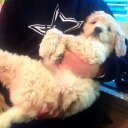 sandy walls - @skdw - Twitter