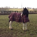 lilly tanner - @Iris2002tanner - Twitter