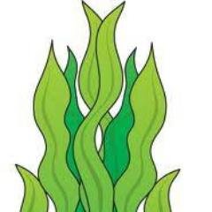 We are students from SHSS Clonakilty trying to make a difference to the environment. Our objective is to make an organic fertiliser using seaweed.