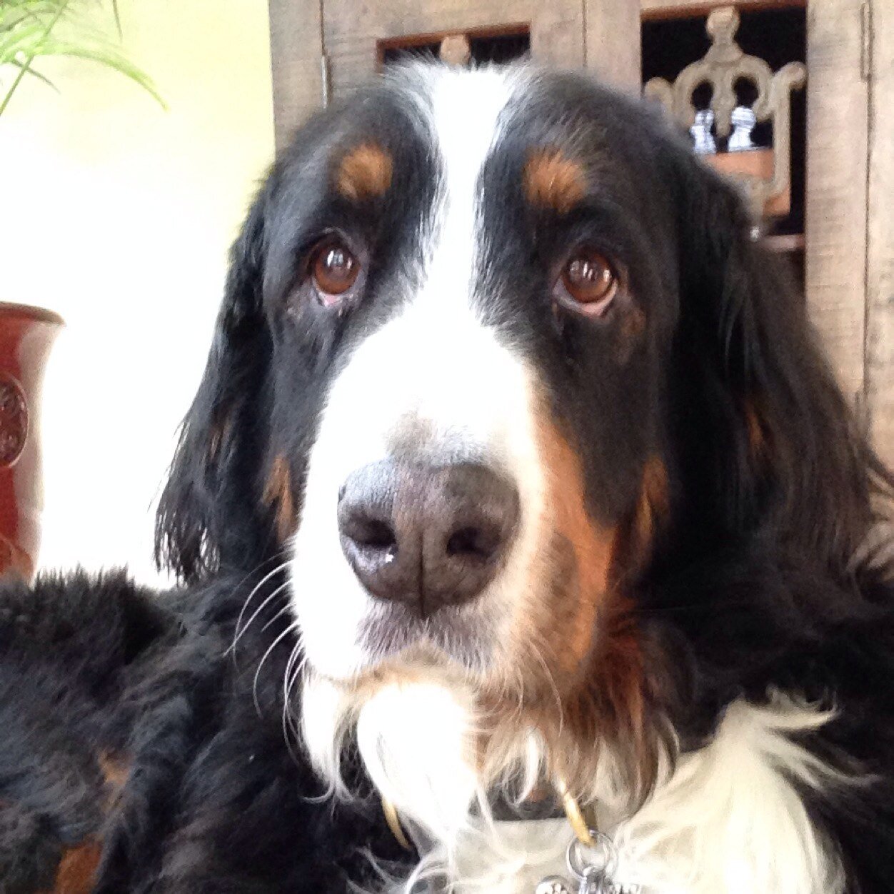 christoph_laura's profile picture. 