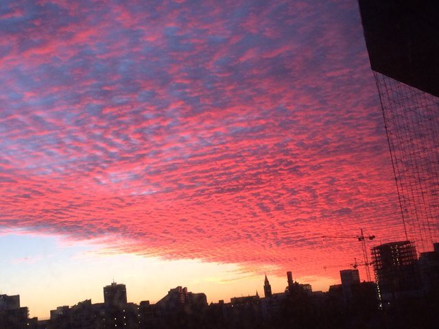 zxyify's profile picture. 