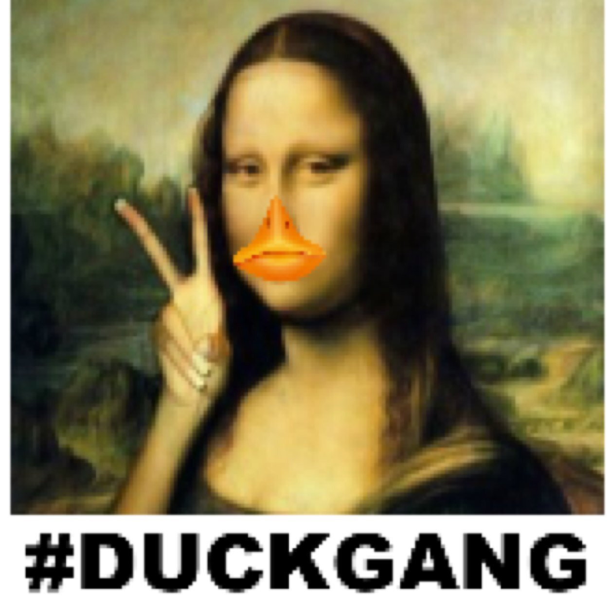 Duck Gang