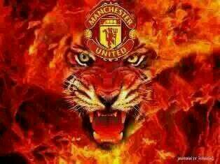 never be afraid to fail, live life to the full. Massive motorcycle fan. MUFC till I Die.