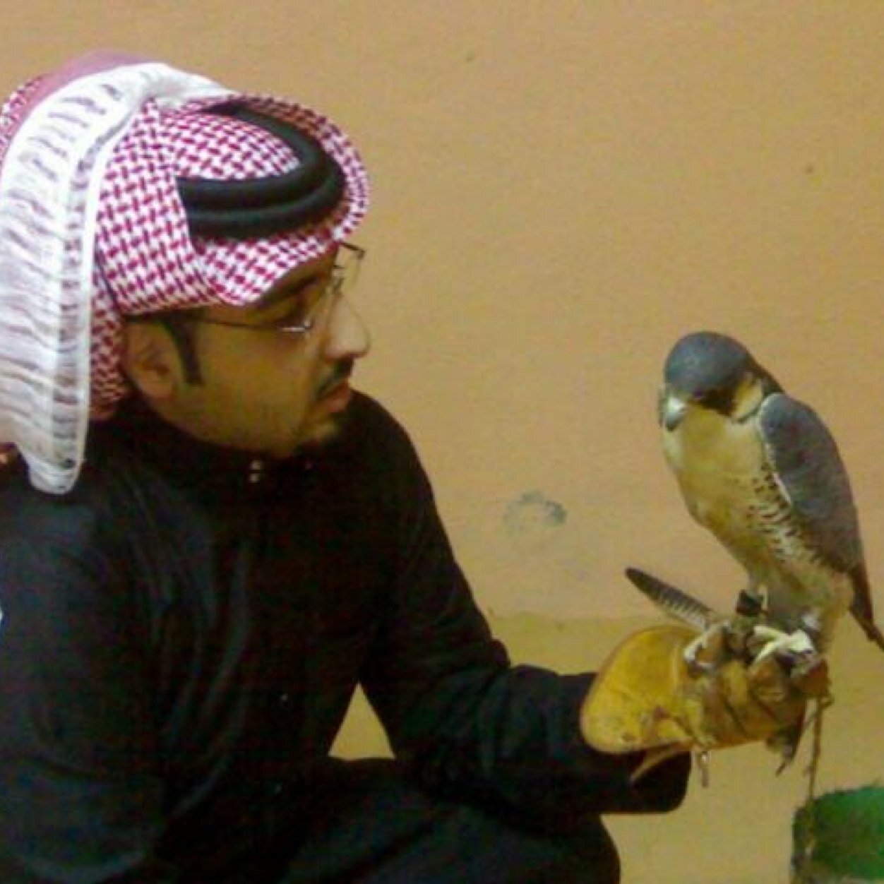 طالب