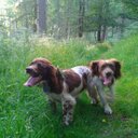 Hazel Price - @hazelnut_price - Twitter