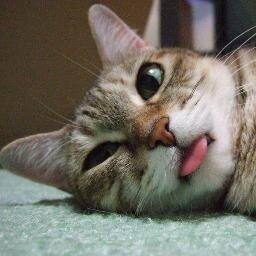 hjusj me gustan mis locuras jajajjajja quiero chocolate sigueme