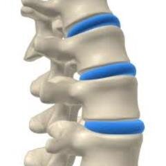 NavesinkChiro's profile picture. 