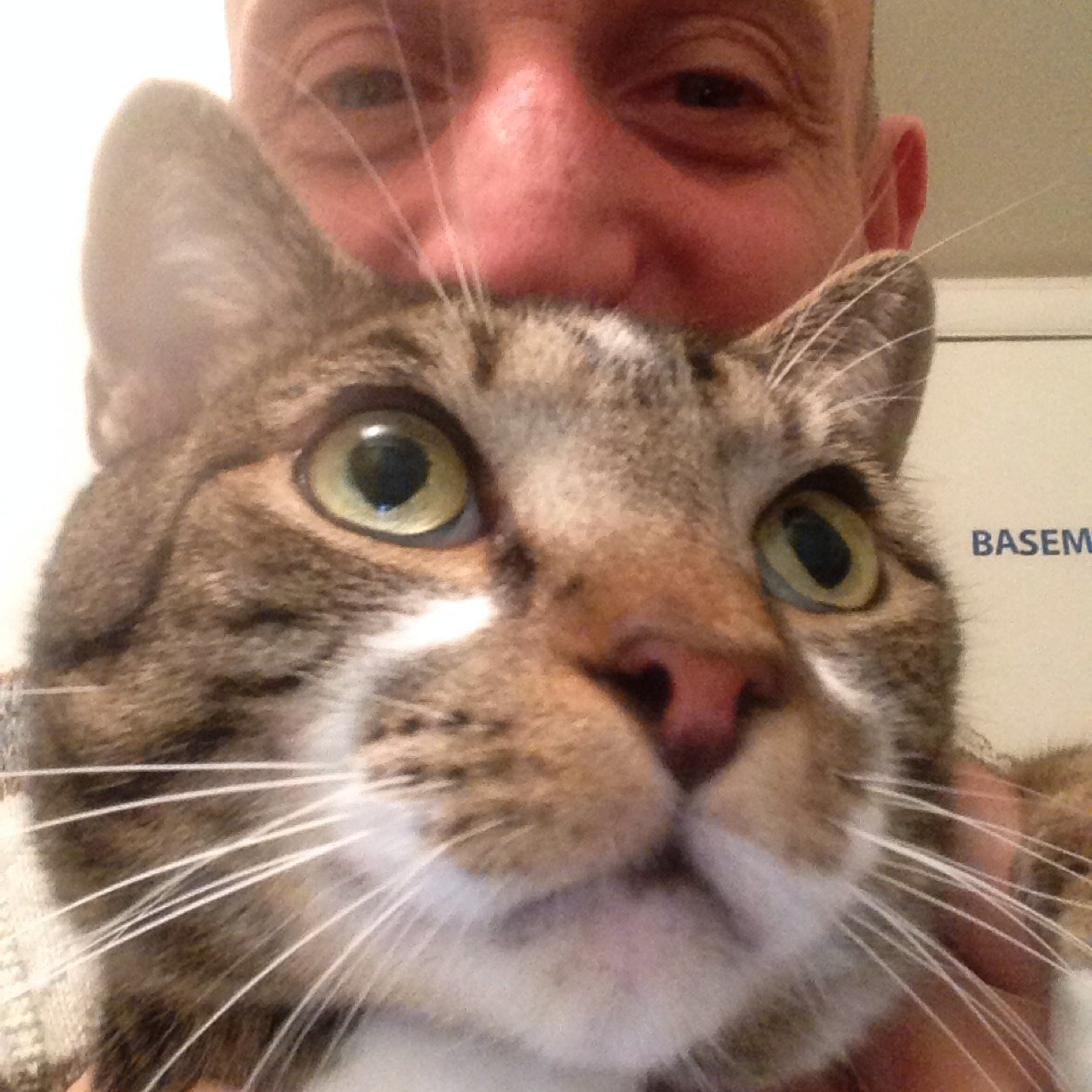 2026772958's profile picture. 