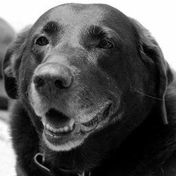 FCANIMALCLINIC Profile Picture