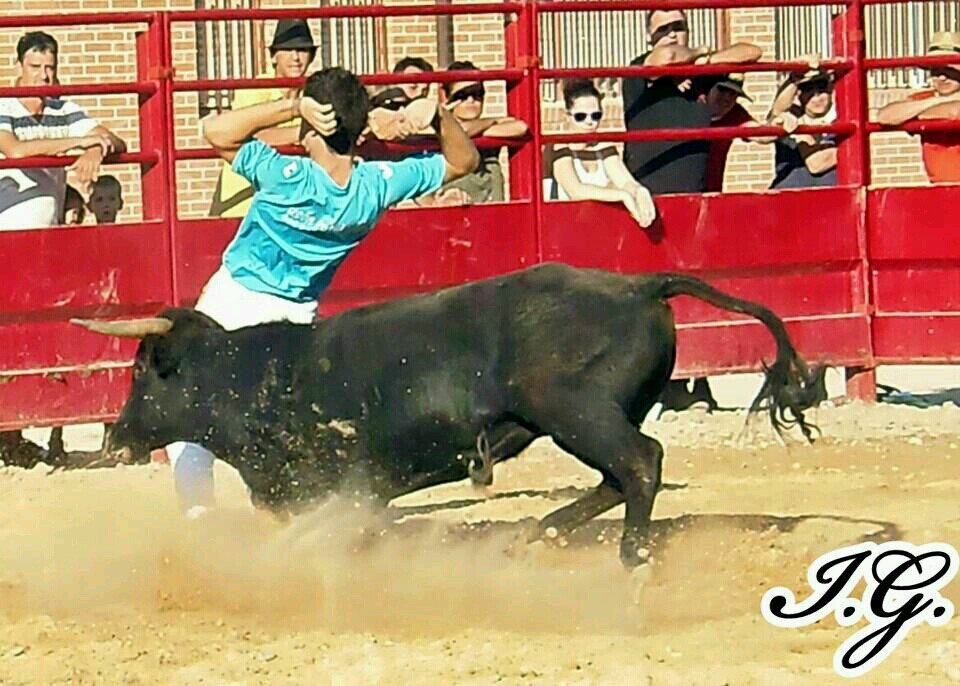 mi pasion las vacas y disfrutar de la vida!!!