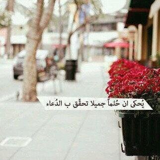 حسابي الثاني @M_alomraane