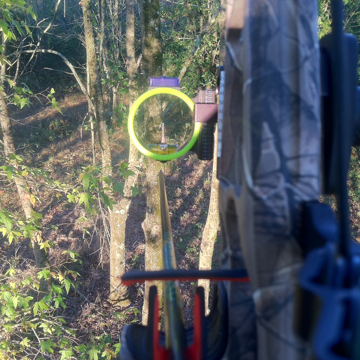 mossydave's profile picture. 