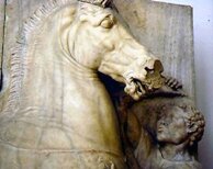 TheSaddlefitter's profile picture. Society of Master Saddlers Qualified Saddler Fitter.