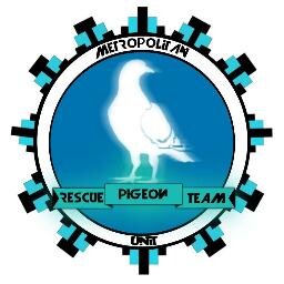 PigeonTeam Profile Picture