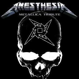 Banda de tributo a uma das fundadoras do Big Four do thrash metal, METALLICA!
