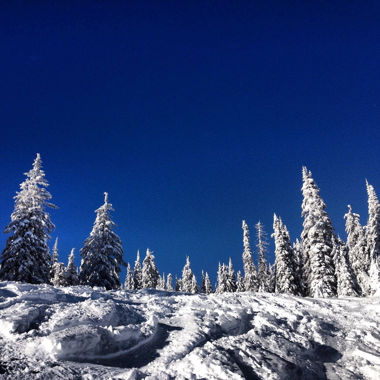 stepchild148's profile picture. 