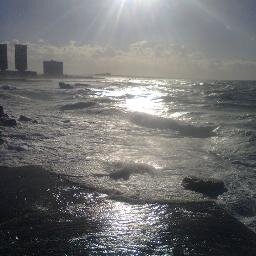 wnbtripoli's profile picture. 