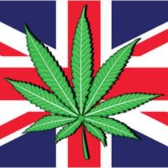 One loves smoking on the chronic shizzle. I am the 420th Lord Doobington of Budshire Manor - and I intend to smoke copious amounts of weed...Marijuavellous!