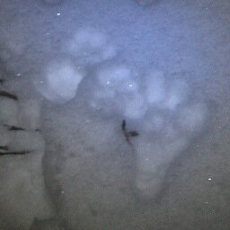 groundtruther's profile picture. Ground-truthing attempts to verify and enhance an 'aerial survey' through the use of independent evidence. (esp. archaeology, news, and public relations)