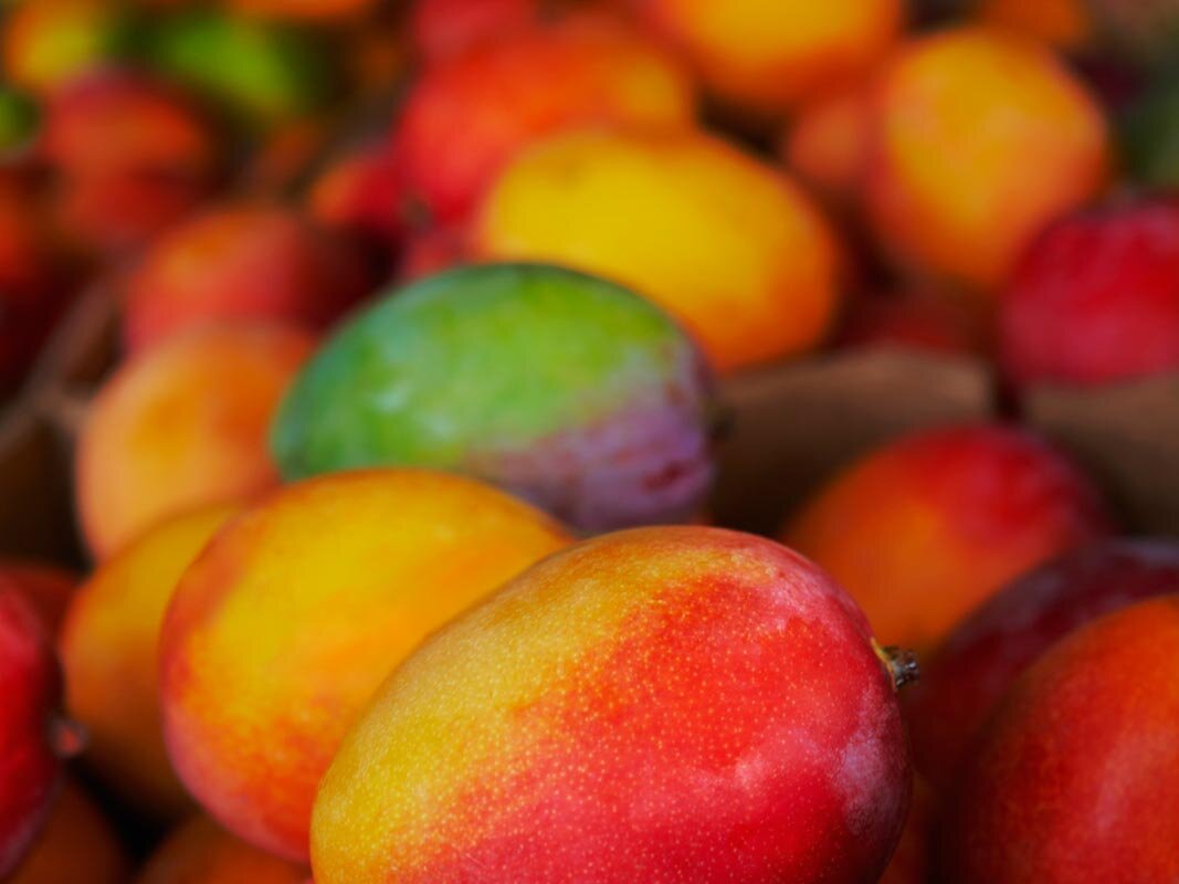 filolapietra's profile picture. Dottore Commercialista - Revisore Legale