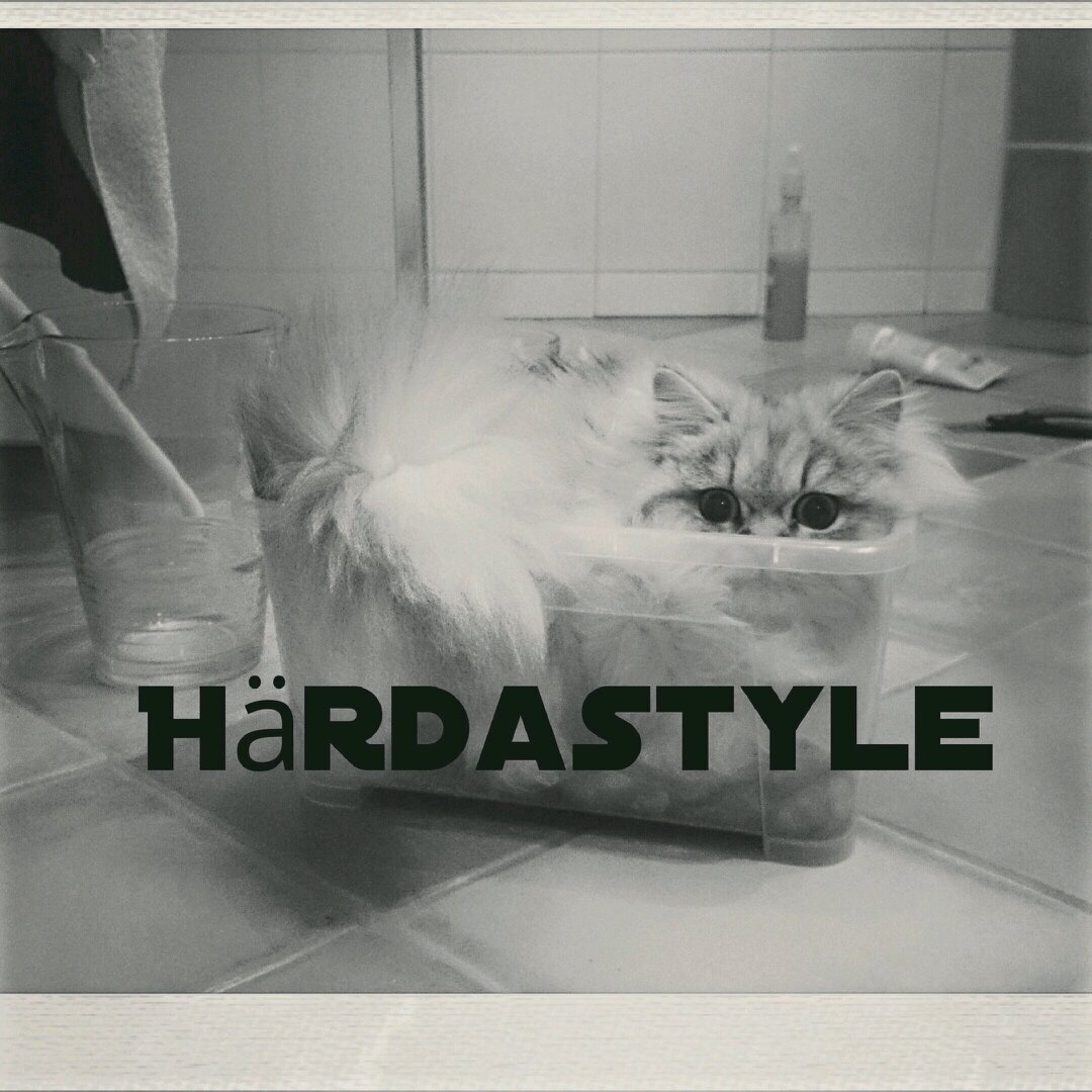 hrdastyle's profile picture. Gillar magneter