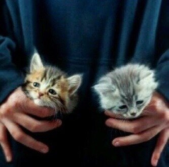 سوولي فولو هنا @Mashael_sa