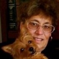janet c herrmann 🇺🇸🇺🇸👍👍 (@drjanetta) 's Twitter Profile