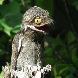 d_e_a_d_f_l_y's profile picture. I keep myself to myself