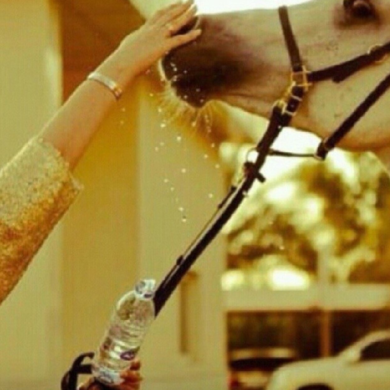 ghghwww2's profile picture. __ضيفوني انستقرام gyoooodh