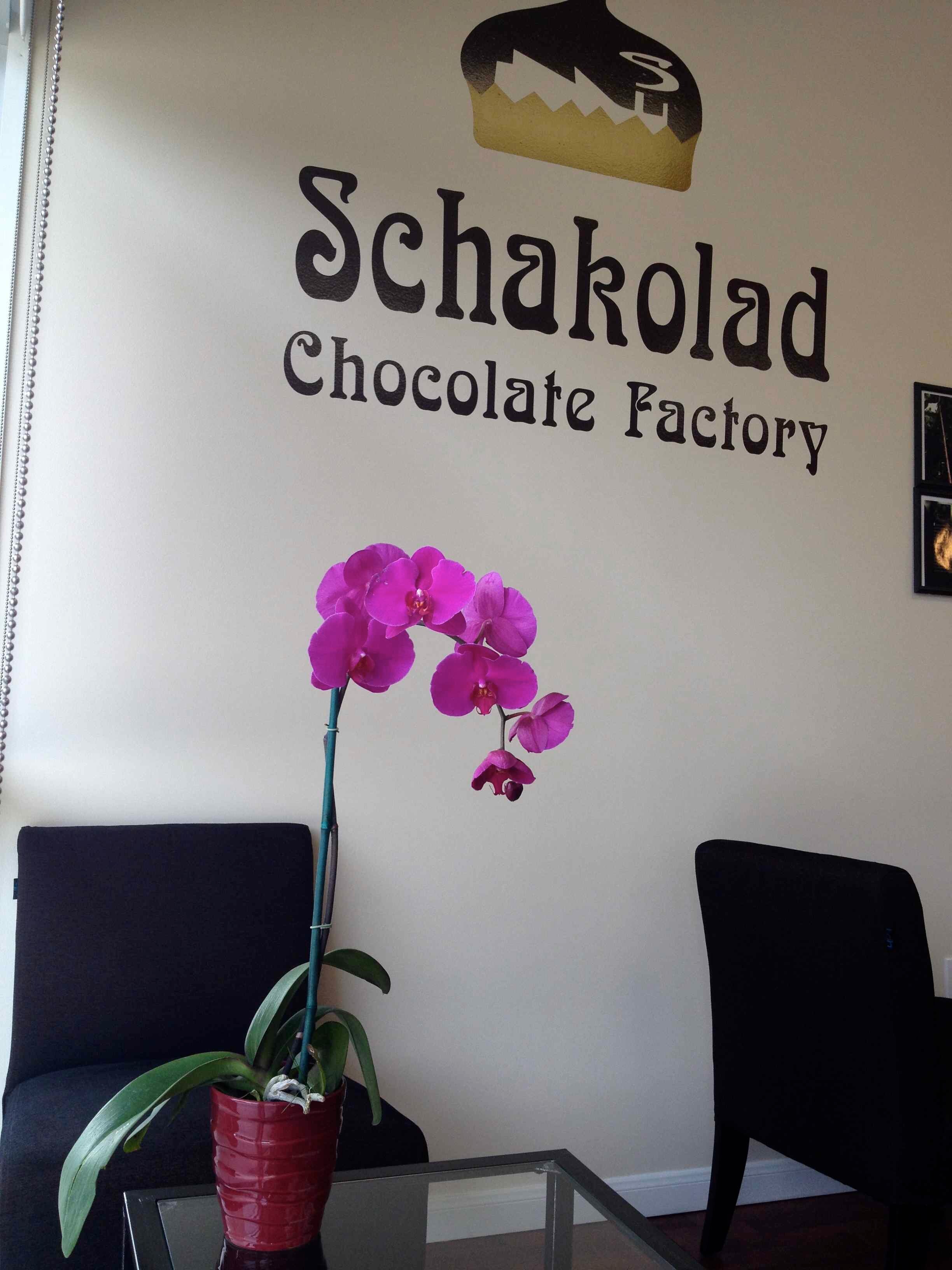 SchakoladChocol's profile picture. European style chocolate, made fresh on premises.