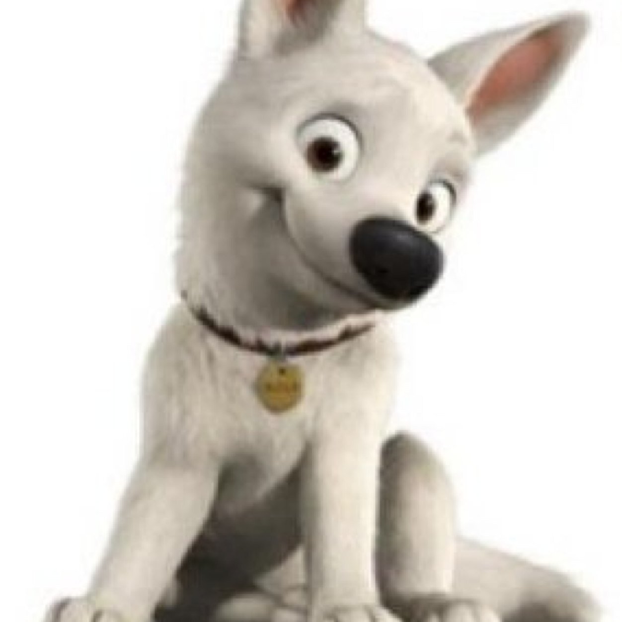 Hi my names Bolt im a super dog.