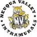 NVHS_Intramurals (@nvhsintramurals) Twitter profile photo