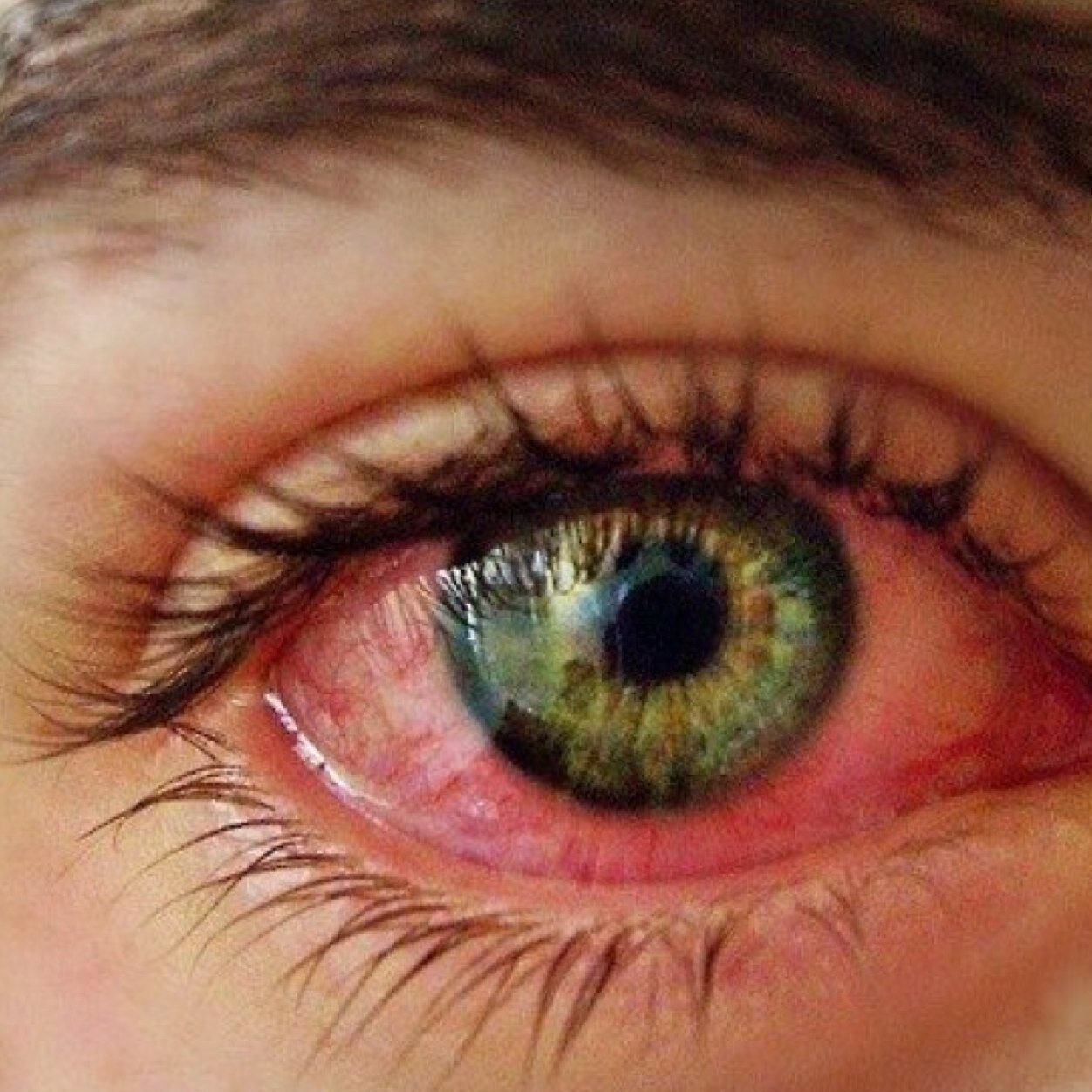 Your high or your about to get high