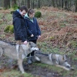 OllieThorn's profile picture. Jade , Karts, Cars, Motorsport, Fifa!