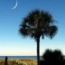 Sonja Cantrell - @mommacannn - Twitter