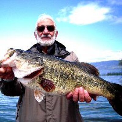 Profile Picture of WILLIAM RYAN (@POPPER10) on Twitter