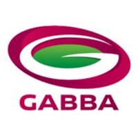 The Gabba (@gabbabrisbane) 's Twitter Profile
