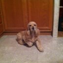 TAMMY BUNTING - @TAMMYBUNTING1 - Twitter