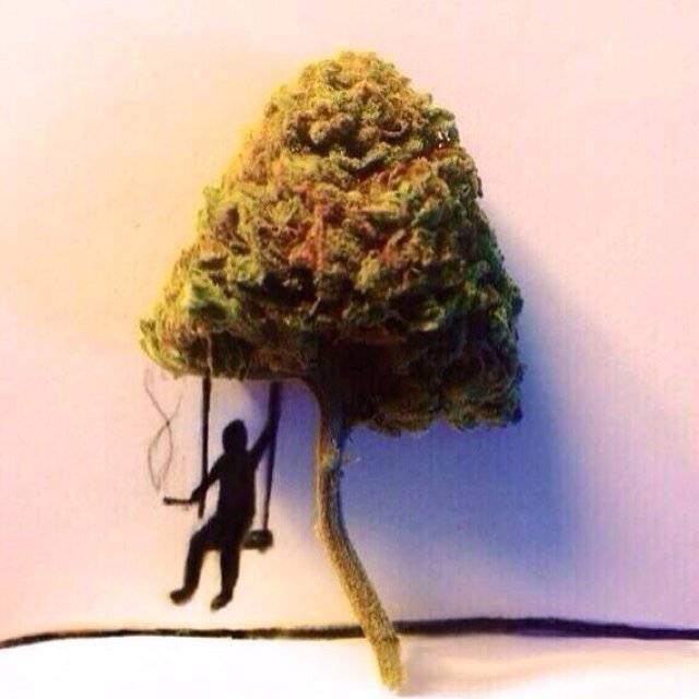 high_tweets_420 Profile Picture