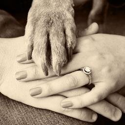 I'm a real person with real student loans who is figuring out the best way to handle life love and school. favorite: @tannedlegbeauty #engaged #wvu #KCCO