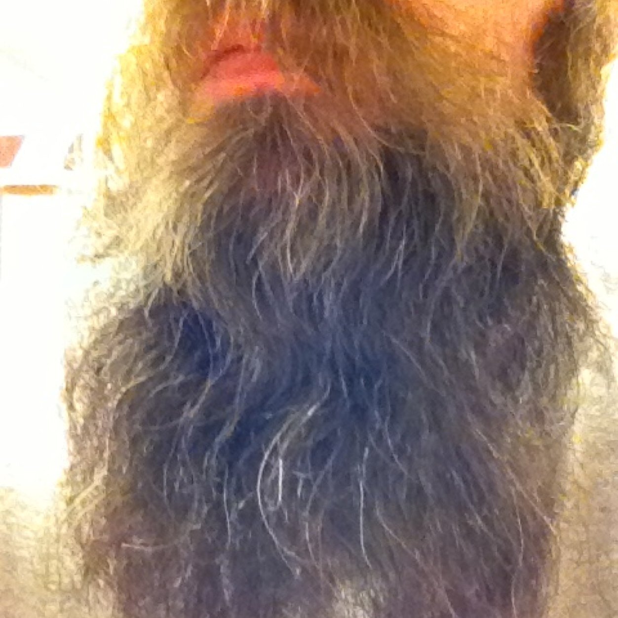 Self employed part owner of an e-commerce store.  Reds fan, book reader, gamer, horror aficionado.