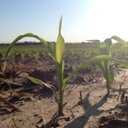 Jay Wesley Wright - @jaywesleywright - Twitter